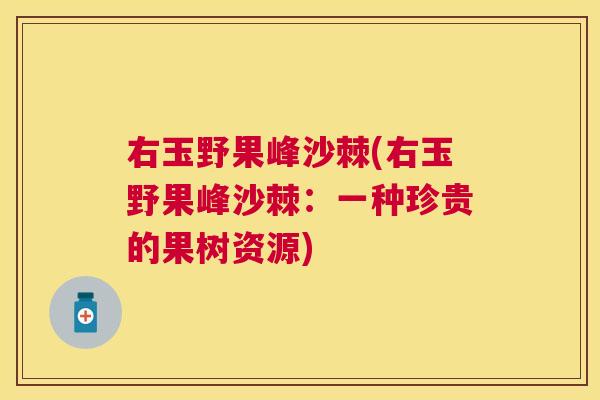 右玉野果峰沙棘(右玉野果峰沙棘:一种珍贵的果树资源)