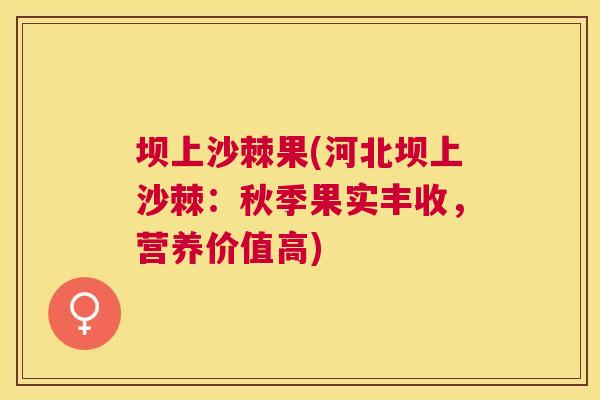 坝上沙棘果(河北坝上沙棘:秋季果实丰收,营养价值高)