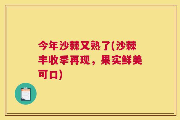 今年沙棘又熟了(沙棘丰收季再现，果实鲜美可口)