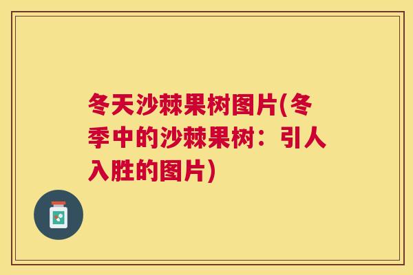 冬天沙棘果树图片(冬季中的沙棘果树:引人入胜的图片)
