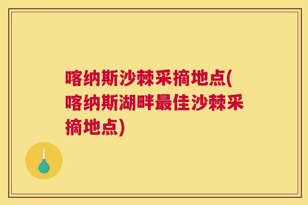 喀纳斯沙棘采摘地点(喀纳斯湖畔最佳沙棘采摘地点)