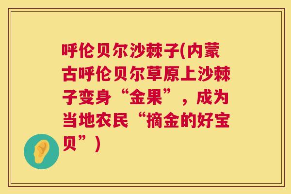 呼伦贝尔沙棘子(内蒙古呼伦贝尔草原上沙棘子变身“金果”，成为当地农民“摘金的好宝贝”)