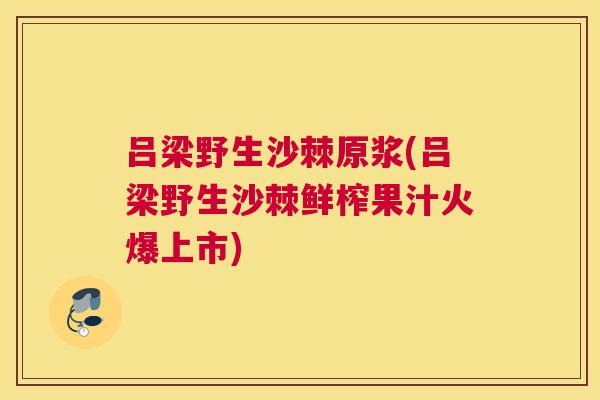 吕梁野生沙棘原浆(吕梁野生沙棘鲜榨果汁火爆上市)