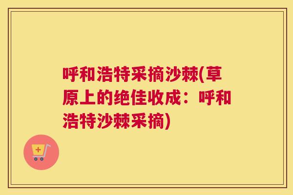 呼和浩特采摘沙棘(草原上的绝佳收成:呼和浩特沙棘采摘)
