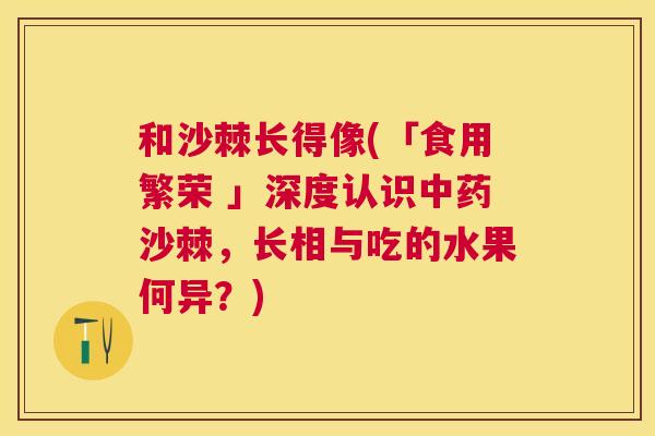 和沙棘长得像(「食用繁荣 」深度认识中药沙棘,长相与吃的水果何异?)