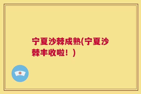 宁夏沙棘成熟(宁夏沙棘丰收啦!)