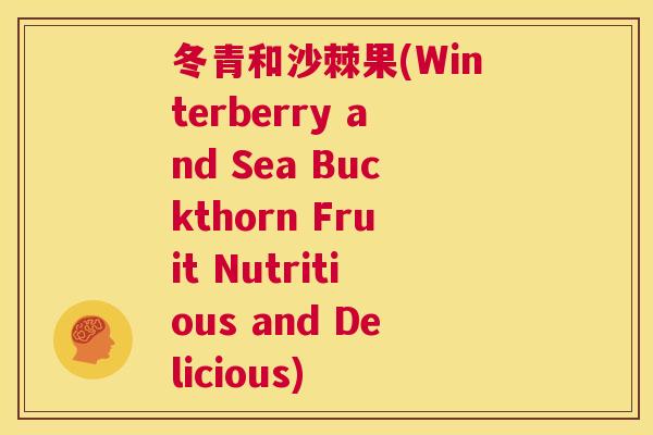 冬青和沙棘果(Winterberry and Sea Buckthorn Fruit Nutritious and Delicious)