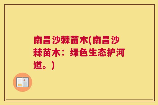 南昌沙棘苗木(南昌沙棘苗木：绿色生态护河道。)