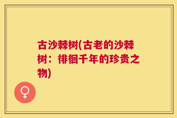 古沙棘树(古老的沙棘树：徘徊千年的珍贵之物)