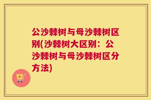 公沙棘树与母沙棘树区别(沙棘树大区别：公沙棘树与母沙棘树区分方法)