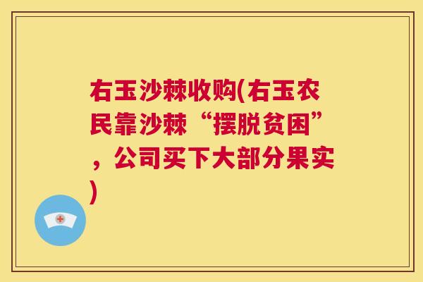 右玉沙棘收购(右玉农民靠沙棘“摆脱贫困”，公司买下大部分果实)