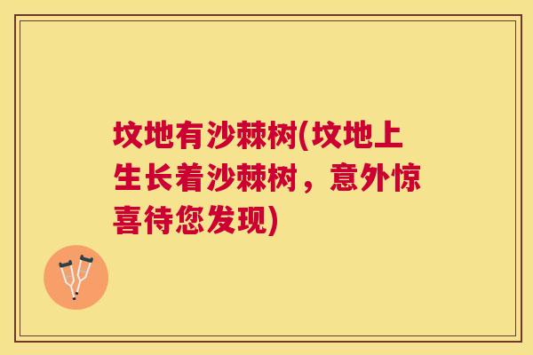 坟地有沙棘树(坟地上生长着沙棘树,意外惊喜待您发现)
