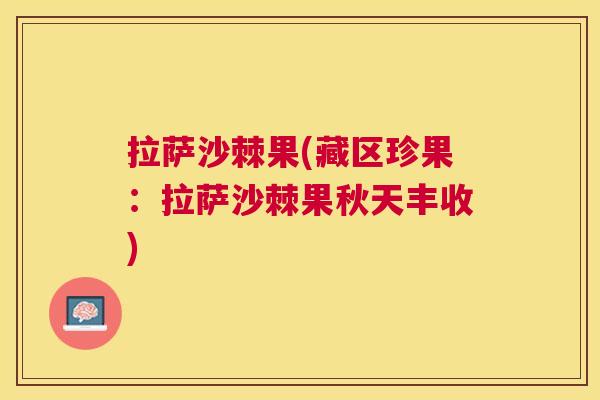 拉萨沙棘果(藏区珍果:拉萨沙棘果秋天丰收)