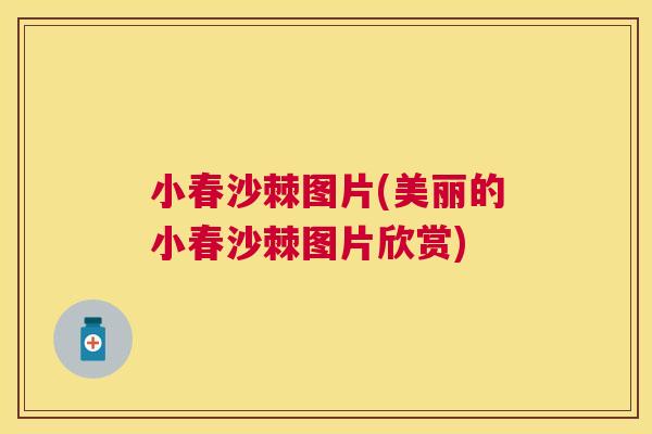 小春沙棘图片(美丽的小春沙棘图片欣赏)