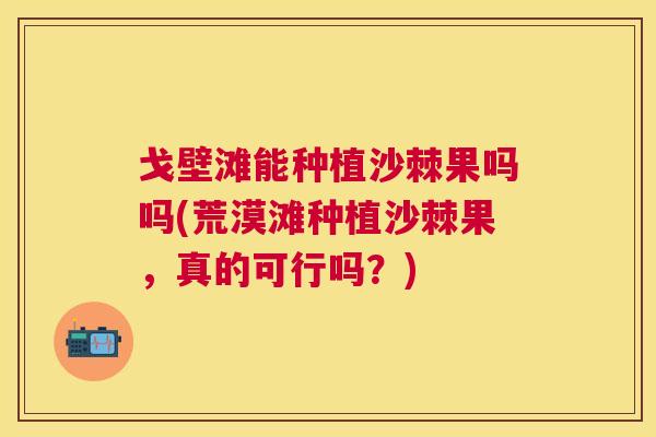 戈壁滩能种植沙棘果吗吗(荒漠滩种植沙棘果，真的可行吗？)