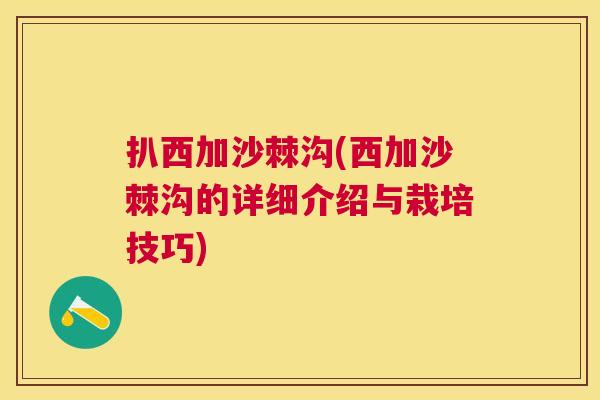 扒西加沙棘沟(西加沙棘沟的详细介绍与栽培技巧)