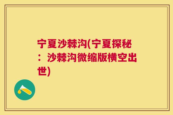 宁夏沙棘沟(宁夏探秘:沙棘沟微缩版横空出世)