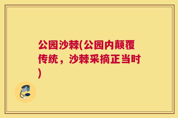 公园沙棘(公园内颠覆传统,沙棘采摘正当时) 公园沙棘(公园内颠覆传统,沙棘采摘正当时)