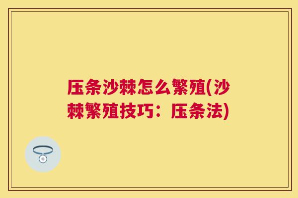 压条沙棘怎么繁殖(沙棘繁殖技巧：压条法)