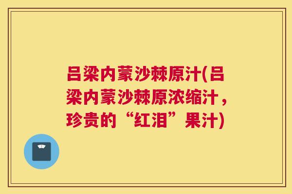 吕梁内蒙沙棘原汁(吕梁内蒙沙棘原浓缩汁,珍贵的“红泪”果汁)