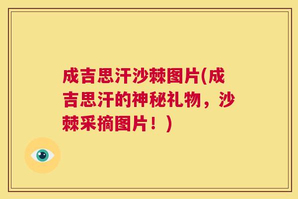 成吉思汗沙棘图片(成吉思汗的神秘礼物，沙棘采摘图片！)