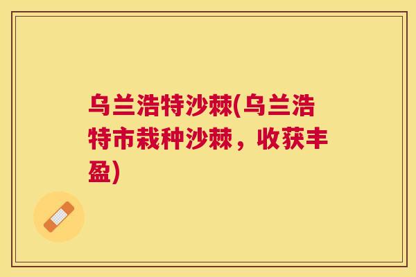乌兰浩特沙棘(乌兰浩特市栽种沙棘，收获丰盈)