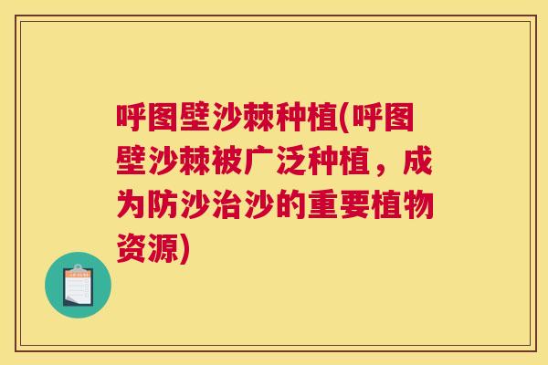 呼图壁沙棘种植(呼图壁沙棘被广泛种植,成为防沙治沙的重要植物资源)