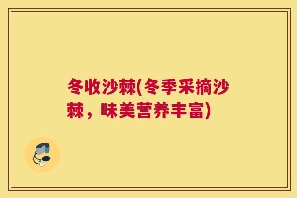 冬收沙棘(冬季采摘沙棘,味美营养丰富)