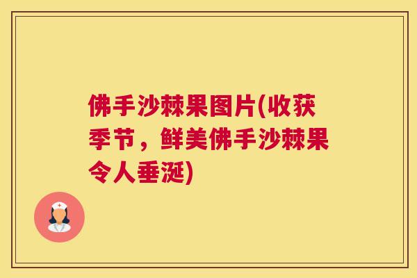 佛手沙棘果图片(收获季节，鲜美佛手沙棘果令人垂涎)