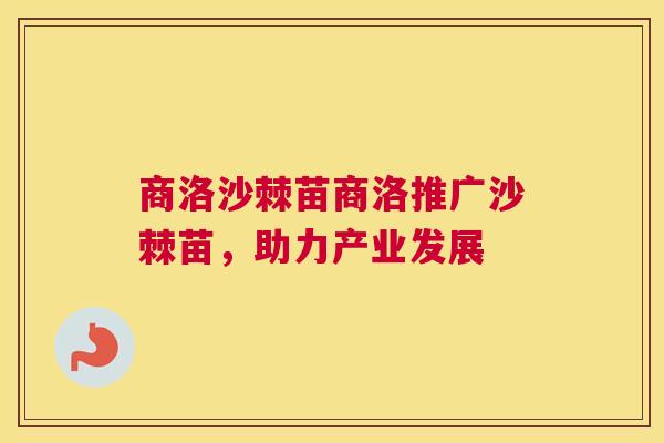 商洛沙棘苗商洛推广沙棘苗,助力产业发展