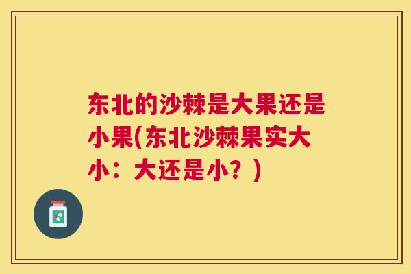 东北的沙棘是大果还是小果(东北沙棘果实大小：大还是小？)