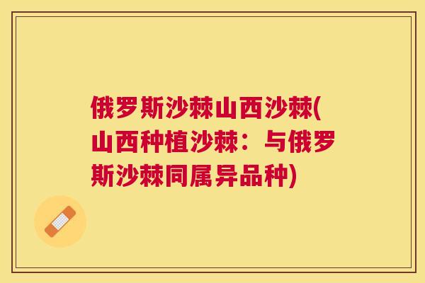 俄罗斯沙棘山西沙棘(山西种植沙棘：与俄罗斯沙棘同属异品种)