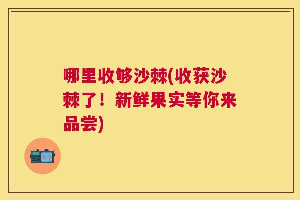哪里收够沙棘(收获沙棘了!新鲜果实等你来品尝)