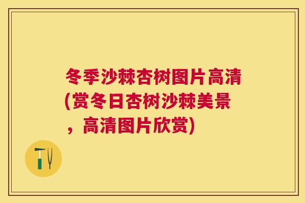 冬季沙棘杏树图片高清(赏冬日杏树沙棘美景，高清图片欣赏)