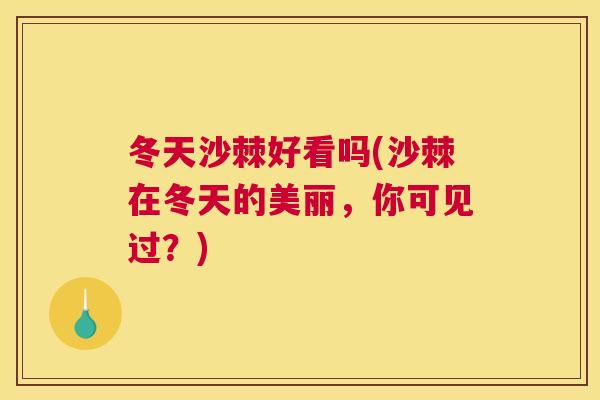 冬天沙棘好看吗(沙棘在冬天的美丽，你可见过？)