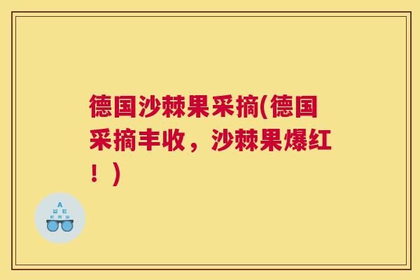 德国沙棘果采摘(德国采摘丰收,沙棘果爆红!) 德国沙棘果采摘(德国采摘丰收,沙棘果爆红!)