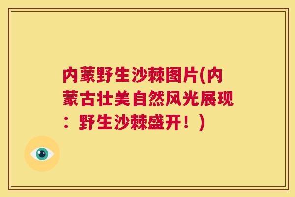 内蒙野生沙棘图片(内蒙古壮美自然风光展现：野生沙棘盛开！)