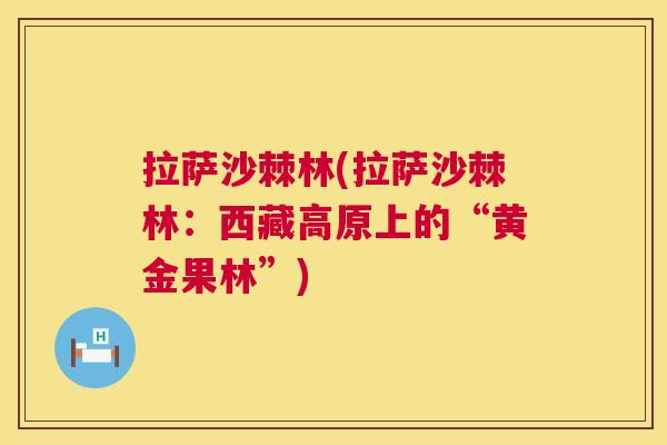 拉萨沙棘林(拉萨沙棘林:西藏高原上的“黄金果林”) 拉萨沙棘林(拉萨沙棘林:西藏高原上的“黄金果林”)