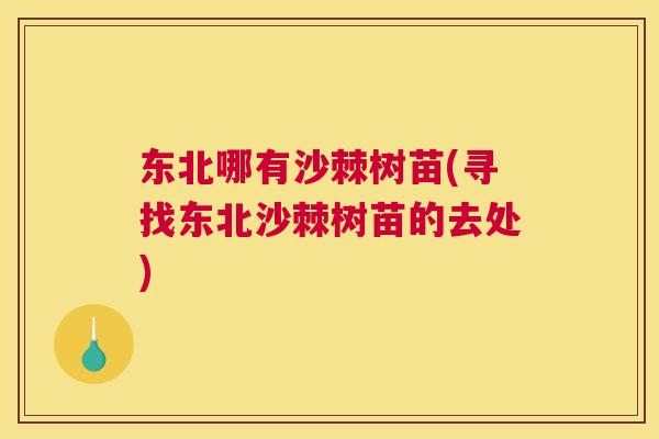 东北哪有沙棘树苗(寻找东北沙棘树苗的去处)