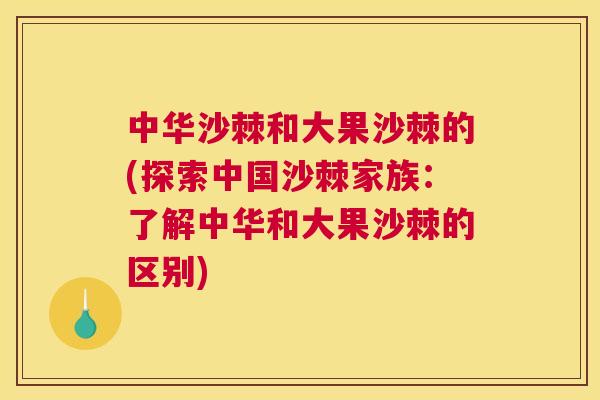 中华沙棘和大果沙棘的(探索中国沙棘家族:了解中华和大果沙棘的区别)