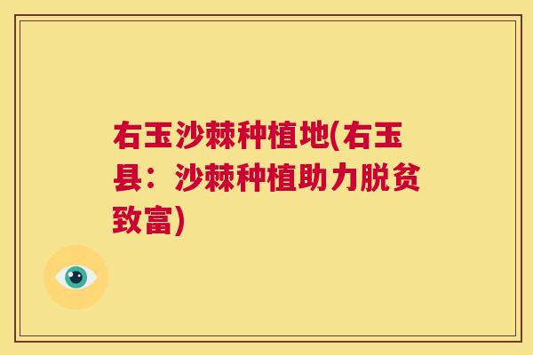 右玉沙棘种植地(右玉县：沙棘种植助力脱贫致富)