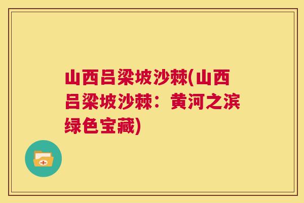 山西吕梁坡沙棘(山西吕梁坡沙棘:黄河之滨绿色宝藏)