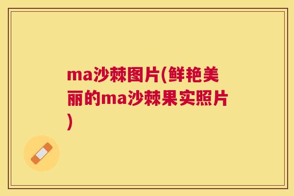ma沙棘图片(鲜艳美丽的ma沙棘果实照片)