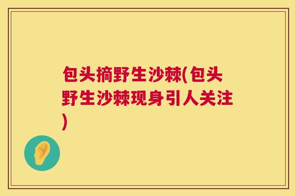 包头摘野生沙棘(包头野生沙棘现身引人关注)