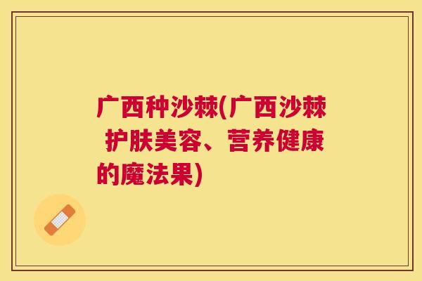 广西种沙棘(广西沙棘 护肤美容、营养健康的魔法果)