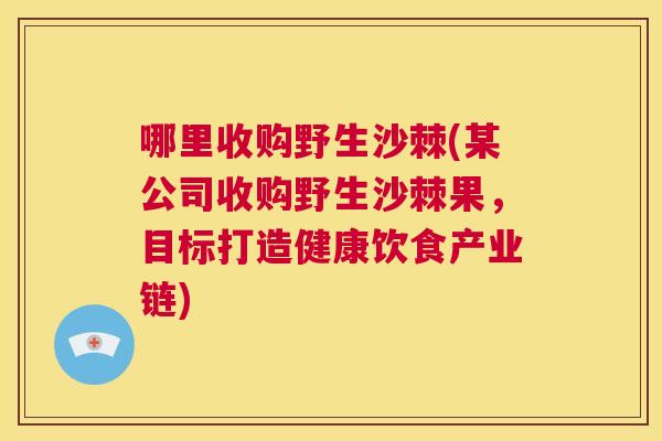 哪里收购野生沙棘(某公司收购野生沙棘果,目标打造健康饮食产业链) 哪里收购野生沙棘(某公司收购野生沙棘果,目标打造健康饮食产业链)