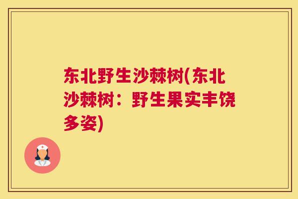 东北野生沙棘树(东北沙棘树:野生果实丰饶多姿)