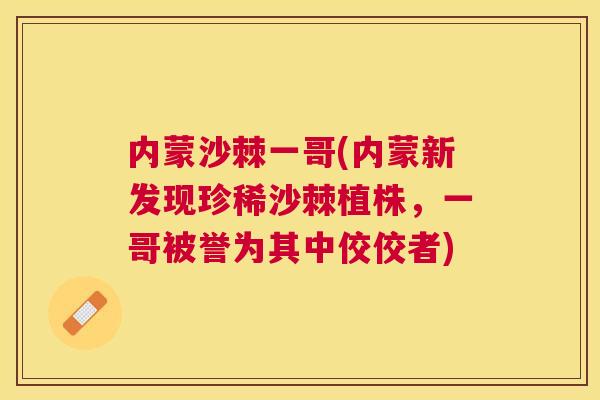 内蒙沙棘一哥(内蒙新发现珍稀沙棘植株，一哥被誉为其中佼佼者)