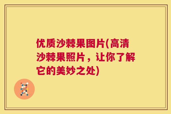 优质沙棘果图片(高清沙棘果照片，让你了解它的美妙之处)