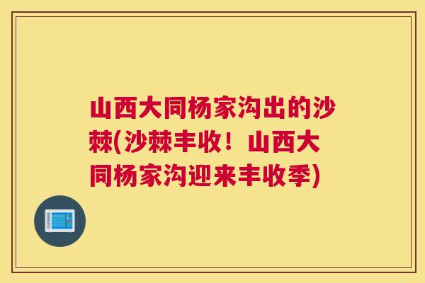 山西大同杨家沟出的沙棘(沙棘丰收！山西大同杨家沟迎来丰收季)